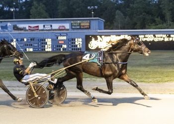 “Rock” rolls, “Swan” flies at Northville