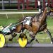 Team Cancelliere roll out the big guns 2 Ruthless Hanover equals track record in inaugural Brower Memorial