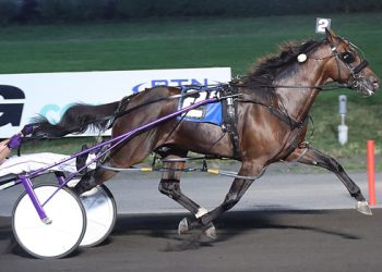 Newsroom impresses again in Kindergarten