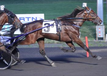 Arnold has high hopes for Mars Hill in $420,000 Haughton