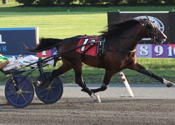 NJSS winners bounce back