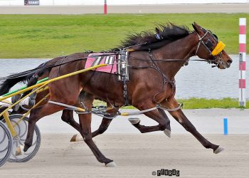 $100,000 dash for the cash in Ohio Sire Stakes