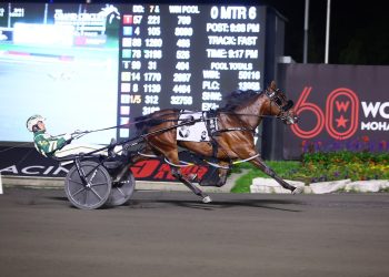 Caviart Belle crushes in Eternal Camnation