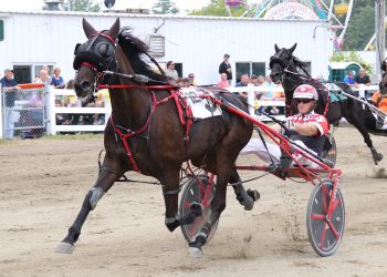 Maine trotters show off at Skowhegan