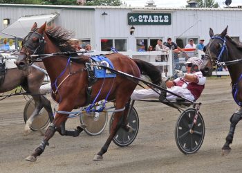 Maine Sire Stakes close out at Skowhegan State Fair