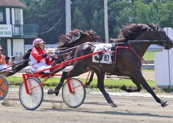 Maine Sire Stakes kicks off Windsor Fair