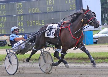 ‘King of the Fair’ Switzer Jr sweeps Maine Sire Stakes