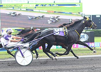 Bythemissal, It’s Academic lead stellar undercard