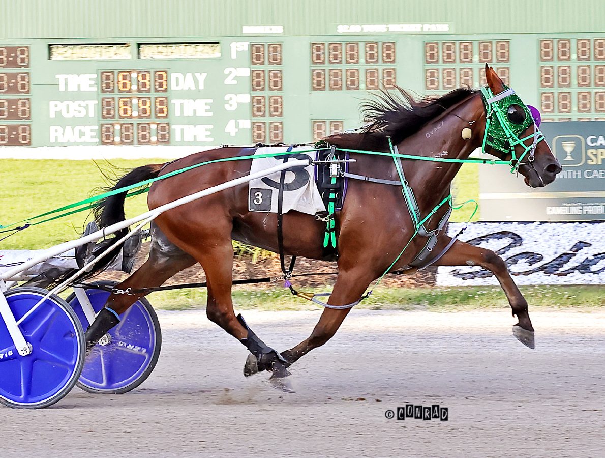 Jet Hill Ohio 3-Year-Old Trotting Colt of the Year - Harnesslink