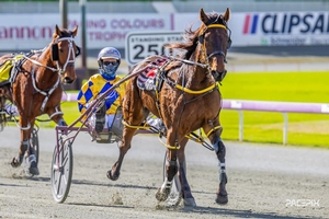 Prentice Team firing from all cylinders