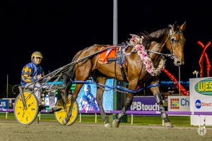 The Collie King is reigning supreme on the Country Circuit