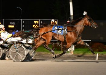 Party rolls on for Circuit Party