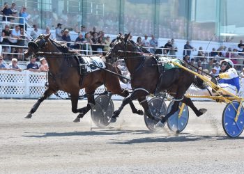 Youngsters to battle in Future Stars Series