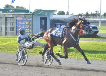 Wild Dream Man looks to stay undefeated