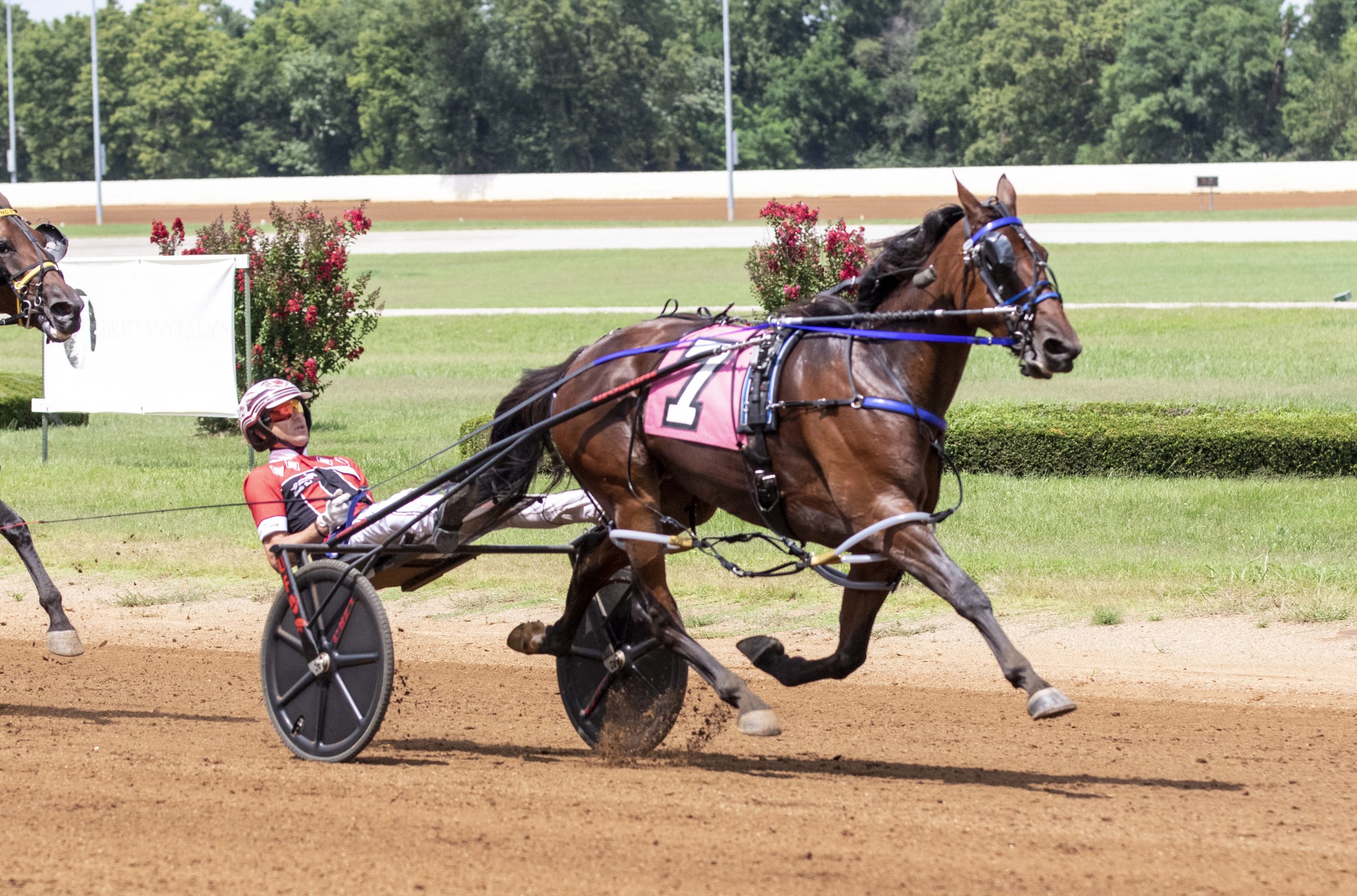 Filly Rockets Home In $80,000 Kentucky Sire Stakes - Harnesslink