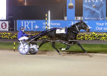 Purdon getting set for spring and Aussie