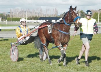 Advance Party to stay in south