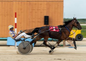 Piwniuk adds five more wins at Canada’s newest track