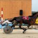 Piwniuk adds five more wins at Canada’s newest track