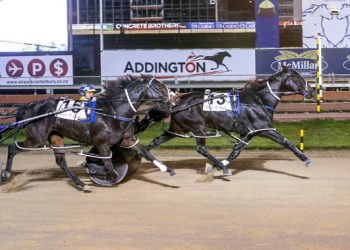 Nevele R Fillies series about to get under way