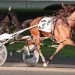 Sophomore pacing fillies compete in $110,100 NYSS 1 Sophomore pacing fillies compete in $110,100 NYSS