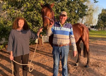 Enjoying success while the sun shines