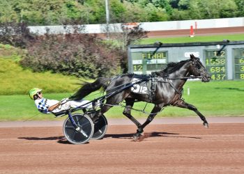 $300,000 Max Hempt Pace won in impressive style