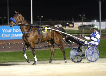 The big Don runs in the Vase