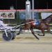 De Goey hoping for a spot in world’s richest harness race