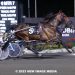 Dead heat in the Whenuwishuponastar at Woodbine Mohawk
