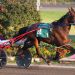 Favourites take $70,000 OSS at Woodbine Mohawk Park