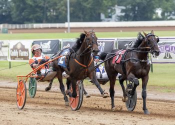 French Wine upends Tactical Approach in KYSS at Red Mile