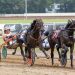 French Wine upends Tactical Approach in KYSS at Red Mile