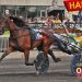 Melander hopes success continues in Sun Stakes 2 Heaven Hanover upsets in $500,000 Hambletonian Oaks