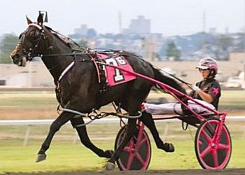 $119,800 NYSS dash at Batavia Tuesday