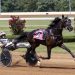 Undefeated Karl goes again Sunday in $400,000 KYSS final 1 Andy Miller celebrates 10,000th victory