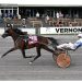 Keep Asking keeps winning in NYSS 12 Keep Asking takes $108,200 NYSS at Vernon Downs