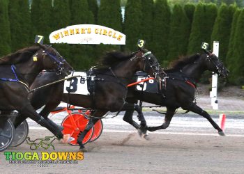 Gate-to-wire works for Knight Angel