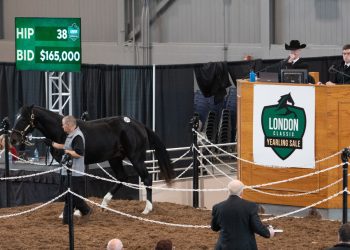 London Classic Yearling Sale catalogue is online