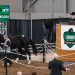 London Classic Yearling Sale catalogue is online