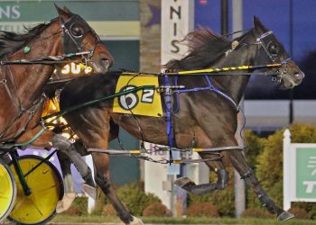 Draw complete for $310,000 Dan Patch