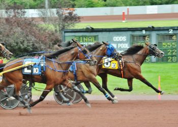 Lady’s Image holds on in feature trot