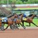 Lady’s Image holds on in feature trot