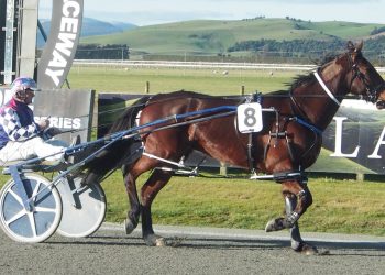 Life Of Art all class