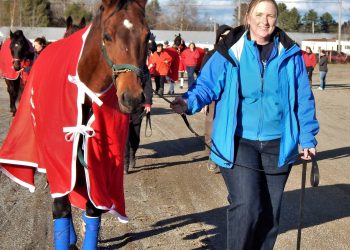 Maine Sire Stakes closes out at Topsham