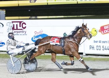 A ‘very interesting’ Shepparton Trotters Cup