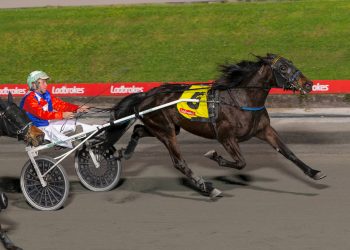 Volstead filly wins $50,000 QBred Final