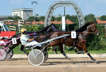 Kincsem Park record broken in classic trot