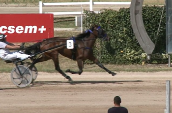 12HUF million featured in Kincsem Park classics