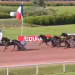 Gaspar d’Angis wins Grand National du Trot – Ville Saint Malo